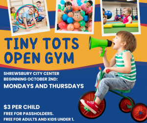 Tiny Tots Open Gym (Facebook Post).png