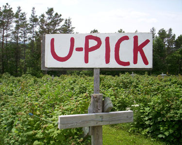 Kids St. Louis: U-Pick Farms - Fun 4 STL Kids