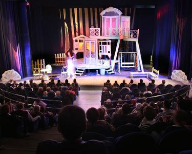 Kids St. Louis: Theaters and Performance Venues - Fun 4 STL Kids