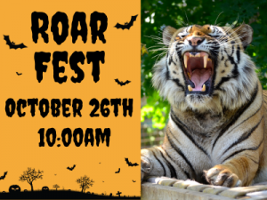 Roar-Fest-Website-24.png