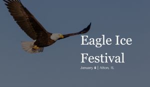 eagle-ice-festival-1.jpg