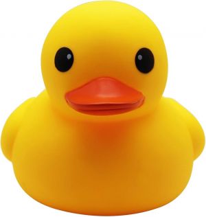 rubber ducky.jpg