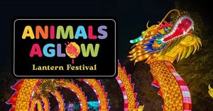 Animals-Aglow-Card.jpg