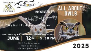 All About Owls