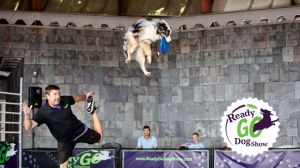 Ready-Go-Dog-Show-16x9-1-1024x576.jpg
