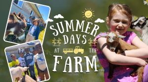 Summer Days at the Farm - Brookdale Farms
