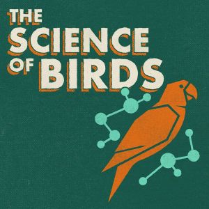 bird science.jpg