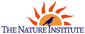 1 (7).png