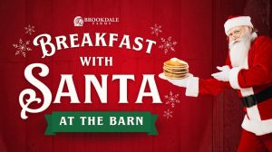 2025 Christmas Events Facebook Posts (1).png