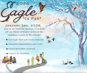 Eagle Ice Fest social media post.png