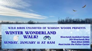 Eagle Ice Fest social media post.png