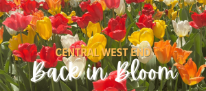 back-in-bloom-website-header-1-1200x533.png