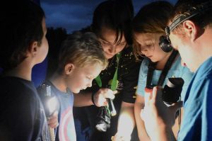 Firefly_Festival_2017_SundosSchneider_008.jpg