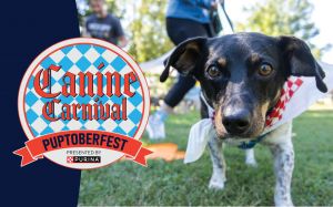 Canine-Carnival-Header-Image-2048x1280-1.jpg