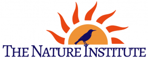 1 (10).png
