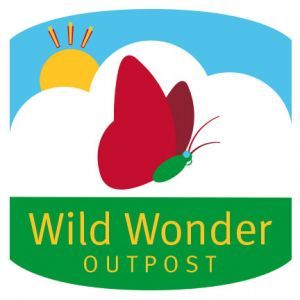 Wild Wonder Outpost Discovery Room at the St. Louis Zoo - Fun 4 STL Kids