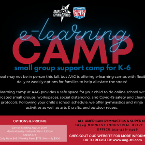 e-Learning Camp at AAG