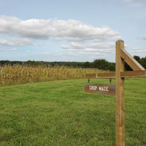 Broemmelsiek Park Corn Maze