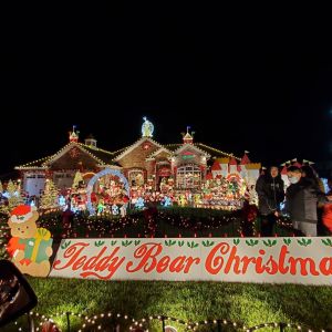 11/26-12/24 Teddy Bear Christmas Land in Crestwood