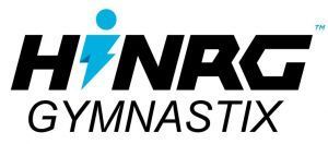 01/20 No School Camp at Hi-NRG Gymnastics