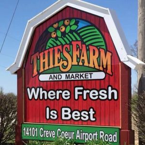 Thies Farm & Market Strawberries