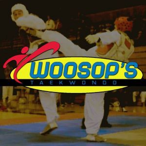 WooSop's Martial Arts Summer Camp