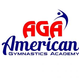 American Gymnastics Academy Camps