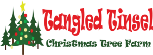 Tangled Tinsel Christmas Tree Farm