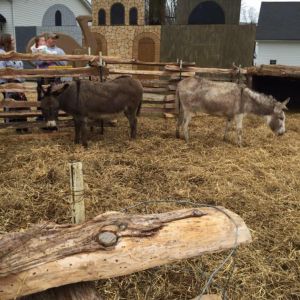 12/13 & 12/14 Live Nativity in De Soto