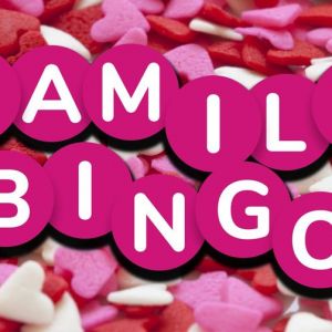 02/13 Family Bingo at the Maryland Heights Community Center