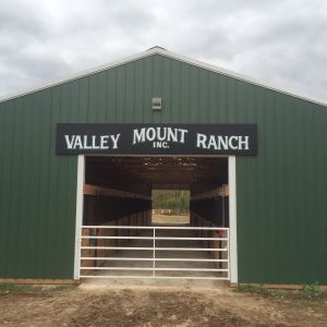 Valley Mount Ranch Horseback Riding Lessons