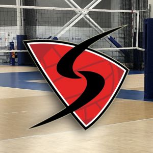Stratman Sports Volleyball