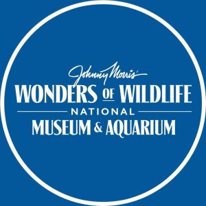 Wonders of Wildlife National Museum and Aquarium