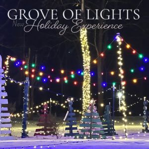 12/07-12/23 Grove of Lights Holiday Experience in St. Clair