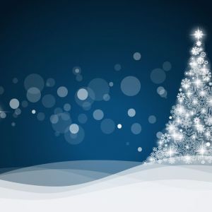 12/06 Tree Lighting at the Bridgeton Rec Center