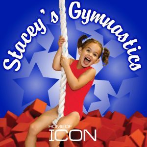 02/17 School's Out Day Camp at Stacey's Gymnastics