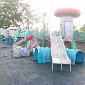 Brendan's Playground