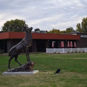 07/04 July 4th Celebration at Meramec Arnold Elks
