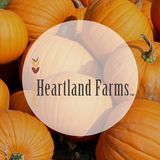 Heartland Farms Corn Maze & Pumpkin Patch