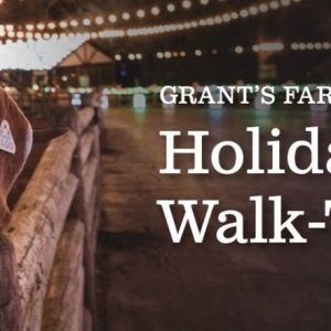 11/23-12/30 Walk Through Holiday Lights at Grant's Farm