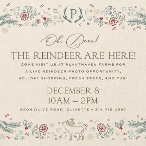 12/08 Live Reindeer & Holiday Fun at Planthaven Farms