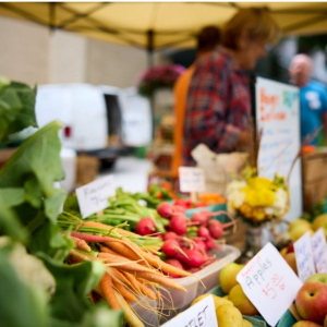 Farmers Market at Washington University School of Medicine