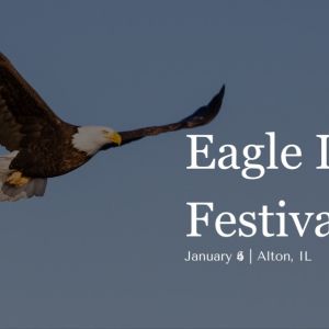 01/04 Alton Eagle Ice Festival at the National Great Rivers Museum