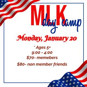 01/20 MLK Camp at St. Louis Gym Centre