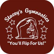 01/20 School's Out Day Camp at Stacey's Gymnastics