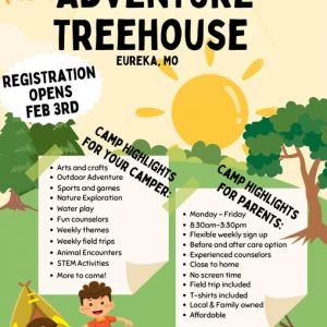 Adventure Treehouse Summer Camp