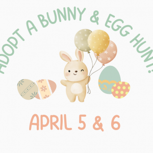 04/05-04/06 Adopt a Bunny and Egg Hunt Event at Blossom Play Cafe