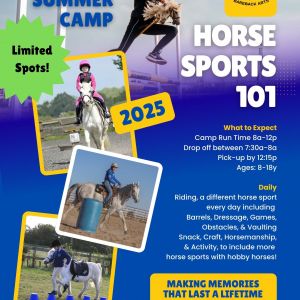 Horse Sports 101