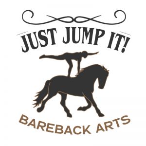 Horse Vaulting, Riding, & Horsemanship Lessons
