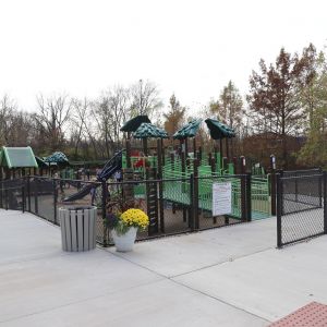 Ollie's Fun Forest Playground